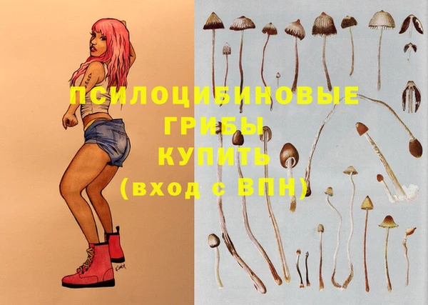 каннабис Абинск