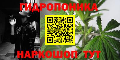 индика Ирбит