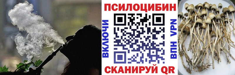 купить закладку  Смоленск  Псилоцибиновые грибы GOLDEN TEACHER 