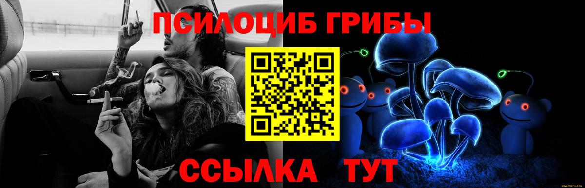 Псилоцибиновые грибы Psilocybe  Вход с VPN  Смоленск 